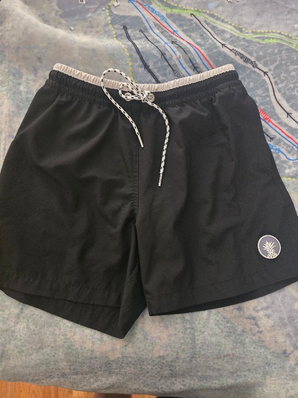 Chubbies Swim Trunks